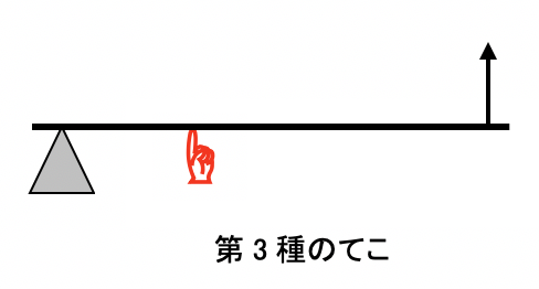 生体力学の基本を知ろう トレーニングや普段の運動で働く てこ トルク の科学 Anfida Business Salon