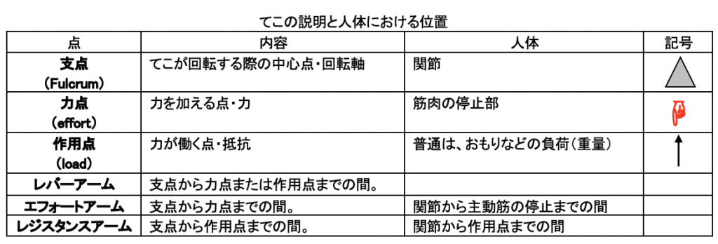 生体力学の基本を知ろう トレーニングや普段の運動で働く てこ トルク の科学 Anfida Business Salon