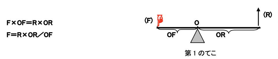 生体力学の基本を知ろう トレーニングや普段の運動で働く てこ トルク の科学 Anfida Business Salon